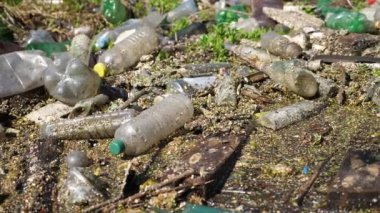 Ormandaki yeşil çimlerin üzerinde bir sürü plastik şişe var. Çöp doğadaki açık ve serbestçe ulaşılabilir yerlere atılır. Küresel çevre kirliliği sorunu. Ekolojik felaket kavramı. Yavaş çekim.