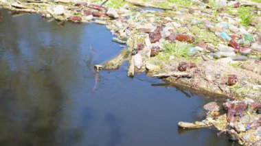 Nehir birçok plastik şişeyle kirlidir. Pek çok çöp doğadaki açık ve serbestçe ulaşılabilir yerlere atılır. Küresel çevre kirliliği sorunu. Ekolojik felaket kavramı.