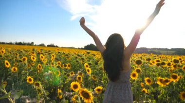 Yazın güneşli bir günde çiçek açan ayçiçekleriyle tarlanın ortasında dikilen ellerini kaldırmış genç ve ilham verici bir kız. Özgürlüğün ya da güzel doğanın tadını çıkaran tanınmamış bir kadın. Açık hava eğlence konsepti. Dolly vurdu..
