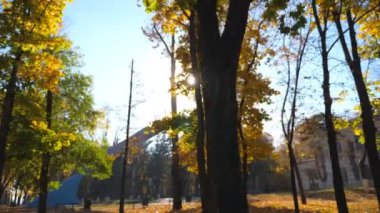 Etrafı sararmış yapraklarla kaplı güzel bir sonbahar parkı manzarası. Arka planda parlak güneş ışığı olan manzaralı bir yer. Şehir parkında güneşli bir gün. Renkli sonbahar sezonu. Yavaş çekim Dolly..