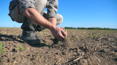 Erkek çiftçi ellerinin bir avuç toprak alıp parmaklarının arasından sahaya dökmesi. Genç adam çayırdaki kuru toprağı inceliyor. Düşük açı görünümü Yavaş çekim.