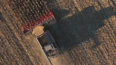 Mısır ya da buğday hasadı toplamanın en iyi görüntüsü. Hasat aracının üzerinde uçmak tarlaların arasında yavaşça gezinmek arpa kesmek ya da mısır sapları kesmek. Çiftlikte çalışan tarım makineleri. Hasat konsepti. Hava görüntüsü
