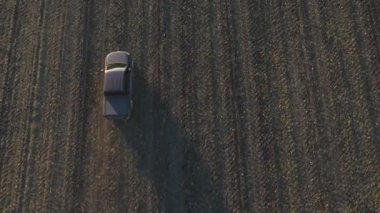 Sonbaharda tarlaların arasında uçan bir araba. Hasattan sonra tarladan geçen bir kamyonet. Otlakta giden off-road aracı. Tarım çiftçiliği kavramı. Hava görüntüsü.