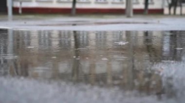 Küçük yağmur damlaları asfalt yoldaki büyük su birikintisine düşer. Yansıtıcı su yüzeyine yağmur damlaları sıçrıyor. Bahar ya da sonbahar yağmur mevsimi. Huzur sahnesi kavramı. Yavaş çekim.