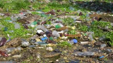 Ormandaki yeşil çimlerin üzerinde bir sürü plastik şişe var. Çöp doğadaki açık ve serbestçe ulaşılabilir yerlere atılır. Küresel çevre kirliliği sorunu. Ekolojik felaket kavramı. Yavaş çekim.