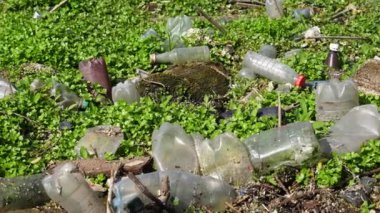 Ormandaki yeşil çimlerin üzerinde bir sürü plastik şişe var. Çöp doğadaki açık ve serbestçe ulaşılabilir yerlere atılır. Küresel çevre kirliliği sorunu. Ekolojik felaket kavramı. Yavaş çekim.