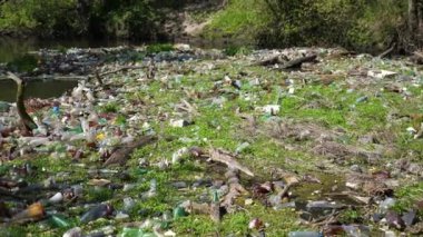 Nehir birçok plastik şişeyle kirlidir. Pek çok çöp doğadaki açık ve serbestçe ulaşılabilir yerlere atılır. Küresel çevre kirliliği sorunu. Ekolojik felaket kavramı.