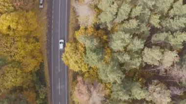 Sonbahar kırsal yolunda araba sürüyor. Güzel bir sonbahar sezonunda kırsal bölgede araba kullanmak. Beyaz SUV, sarı sonbahar ormanı boyunca manzaralı arazide ilerliyor. Üst Görünüm Hava Görüntüsü.