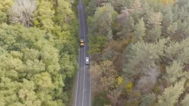 Sonbaharda kırsal yolda beyaz arabalara binmek. Otomobil, sarı sonbahar ormanlarındaki kırsal yolda gidiyor. SUV güzel bir sonbahar mevsiminde manzaralı arazide hareket eder.