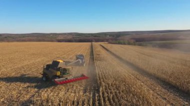 Hasatçı olgun mısır tanelerini traktör römorkuna yüklemeye hazırlanıyor. Sahada çalışan tarımsal makinelerin üzerinde uçmak. Hasat sırasında tarlaların havadan görüntüsü. Çiftçilik kavramı. Yavaş