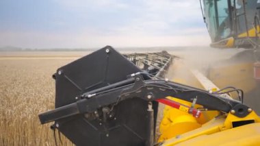 Yakın bıçak iplik ve buğday kulakları kesme birleştirmek kadar. Hasat makinesi yavaşça tarlada geziniyor ve olgun arpa mahsulünü topluyor. Gıda endüstrisi veya hasat kavramı. Yavaş çekim Yan görünüm.