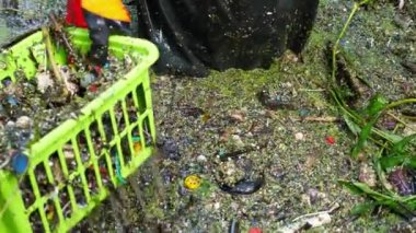 Koruyucu eldivenler giymiş kadın eller, gönüllü plastik kutuların erkek kollarına nehirden gelen çöplerle birlikte geçiyor. Tanınmayan çevreciler enkaz gölünü temizliyor. Çevre kirliliği koruması.