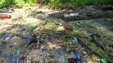Çöp doğadaki açık ve serbestçe ulaşılabilir yerlere atılır. Ormandaki kirli yeşil çimlerin üzerinde bir sürü plastik şişe var. Küresel çevre kirliliği sorunu. Ekolojik felaket kavramı. Yavaş çekim