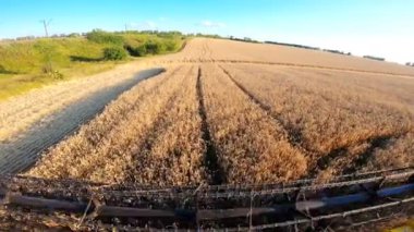 Çiftlik arazilerinde at sürmek ve buğday ekini toplamak. Hasat kabininden güzel kırsal araziye kadar manzara. Tarım makinesi çiftlikte çalışıyor. Agronomi konsepti. Hasat mevsimi.