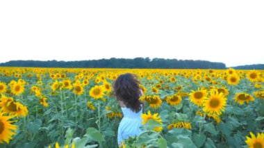 Gün batımında mavi gökyüzünün altında ayçiçeği tarlası boyunca koşan genç bir kız. Güneş arka planda parlıyor. Meadow 'da koşan ve özgürlüğün tadını çıkaran kadını izleyin. Arka görünüm Yavaş çekim
