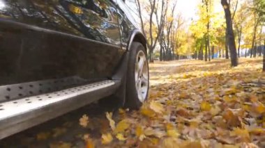 Güçlü araba park yolda üzerinde sarı sonbahar sürüş tekerlek güneşli bir günde bırakır. Renkli sonbahar yaprakları dışarı otomobil tekerleğin altından uçar. Boş yol aracılığıyla SUV geçiş. Ağır çekim.