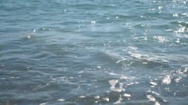 Güneşli bir günde, sakin, huzurlu deniz dalgalarının çakıl taşlı plajlara sıçradığı sahneyi kapatın. Arka planda güzel bir deniz manzarası. Tatil ya da tatil kavramı.