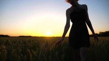Siyah elbiseli genç kız arpa tarlasında yürüyor ve olgunlaşmış ekin kulaklarına hafifçe dokunuyor. Yeşil buğday üzerinde hareket eden dişi kol ve arka planda güzel bir günbatımı. Yavaş çekim.