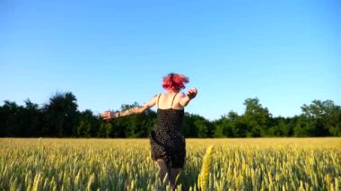 Kaygısız hippi kız yeşil arpa tarlasında koşarken eğleniyor. Pembe saçlı dövmeli mutlu punk kadın gün batımında buğday tarlasında koşuyor. Neşeli bayan hippi Yazın tadını çıkarıyor.