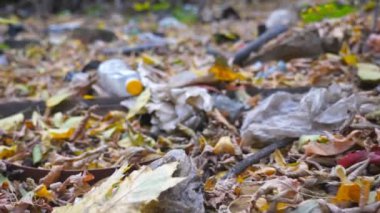 Sonbahar ormanında çöp ve sarı yapraklarla kirli zeminde yürümenin POV 'u. Çöpler doğada serbestçe ulaşılabilir yerlere atılıyor. Çevre kirliliği sorunu kavramı. Düşük açı görünümü Yavaş çekim.