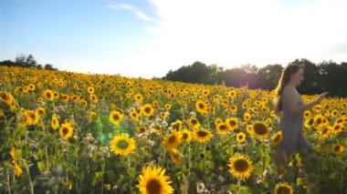 Tasasız kadın elinde çiçeklerle tarlada koşuyor. Tatlı kız çayırdan geçerken özgürlüğün ya da dışarıda eğlencenin tadını çıkarıyor. Arka planda gün batımında manzaralı yaz manzarası. Yan görünüm.