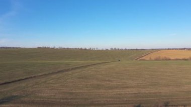 Tarlanın yakınındaki yolda giden kamyonetin hava görüntüsü. Çayır yakınlarındaki kırsal yoldan siyah bir araba geçiyor. Kırsal bölgeye doğru giden off-road aracının üzerinden uçuyor. Güzel manzaralı.