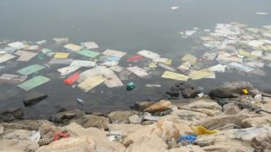 Çevre kirliliği. Plastik şişeler, torbalar, nehirdeki ya da göldeki çöpler. Suda yüzen çöp ve kirlilik. Kirlenmiş sahil boyunca hareket. Yavaş çekim.