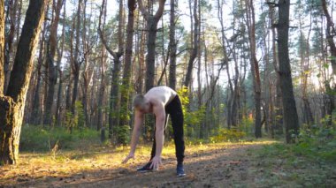 Kaslı adam güneşli ormanda amuda kalkıyor. Manzaralı ortamda güçlü jimnastik eğitimi. Sporcu dışarıda gösteri yapıyor. Sağlıklı ve aktif yaşam tarzı kavramı. Ağır çekim. Yaklaş..