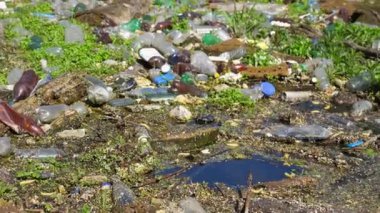 Ormandaki yeşil çimlerin üzerinde bir sürü plastik şişe var. Çöp doğadaki açık ve serbestçe ulaşılabilir yerlere atılır. Küresel çevre kirliliği sorunu. Ekolojik felaket kavramı. Yavaş çekim.