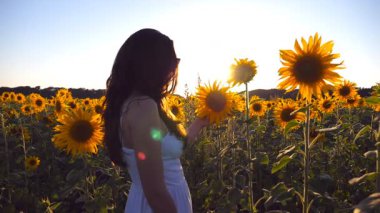 Gün batımında mavi gökyüzünün altında ayçiçeğiyle oynayan genç bir kadın. Çiçeklerin arkasına saklanan komik kız. Ön görünüm Yavaş çekim Kapat