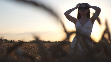 Buğday tarlalarının arasında duran çekici kadın günbatımı arka planında saçlarıyla nazikçe oynuyor. Genç kız akşam vakti dışarıda eğleniyor. Özgürlük kavramı. Doğayla uyum. Yavaş çekim.