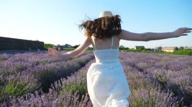 Güneşli bir günde lavanta tarlasında koşan şapkalı tanınmayan bir kız. Kaygısız kadın çiçek çayırında koşarken eğleniyor. Manzaralı kırsal alan. Yaz ya da özgürlük konsepti. Yavaş çekim.