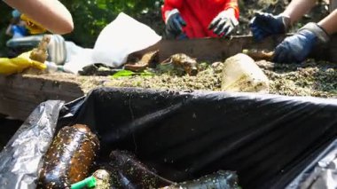 Dışarıdaki ahşap masada çeşitli şişeleri sıralayan koruyucu eldivenli gönüllülerin kadın elleri. Doğada plastik kullanan çevreci aktivistlerin kolları. Çevre kirliliği koruması kavramı. Yavaş çekim.
