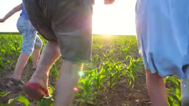 İki oğlu olan genç bir çift gün batımında mısır tarlasında el ele yürür. Yeşil çayırlarda gezen çocuklu mutlu bir aile ve birlikte vakit geçirmenin tadını çıkarıyorlar. Yavaş çekim.