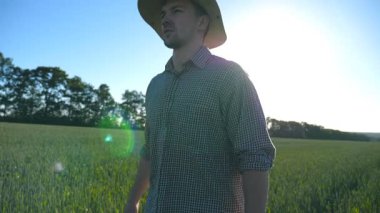 Şapkalı genç bir erkek çiftçi çiftlikte yeşil buğday tarlasında yürüyor. Güneşli yaz gününde mısır gevreği çiftliğine giden kendine güvenen bir adam. Tarım konsepti. Arka planda güneş ışığı. Yavaşça kapat..