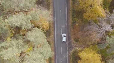 Sarı sonbahar ormanlarında yol boyunca giden beyaz arabanın üst görüntüsü. Sonbaharda kırsal bölgede araba kullanmak. Güzel bir sonbahar sezonunda arazi manzarası boyunca giden bir SUV. Seyahat konsepti. Hava görüntüsü.