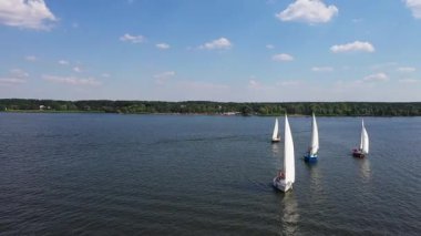 Açık mavi gökyüzü altında sakin bir göl boyunca ilerleyen birkaç yelkenlinin hava görüntüsü. Yatlar gölde yüzüyor ve arka planda güzel doğa manzarası var. Özgürlük ve sükunet kavramı. Yavaş çekim.