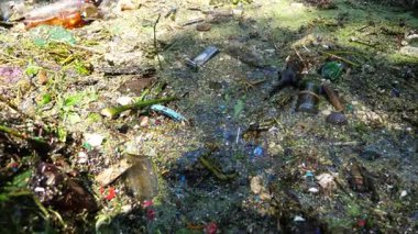 Pek çok çöp doğadaki açık ve serbestçe ulaşılabilir yerlere atılır. Kirli nehir birçok plastik şişeyle kirlidir. Küresel çevre kirliliği sorunu. Ekolojik felaket kavramı.