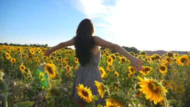 Genç ve ilham verici kız çiçek açan ayçiçekleriyle sahada duruyor ellerini kaldırıyor ve neşeli duygular gösteriyor. Özgürlüğün tadını çıkaran mutlu bir kadın ya da güneşli bir yaz günü. Açık hava eğlence konsepti. Dolly vurdu..