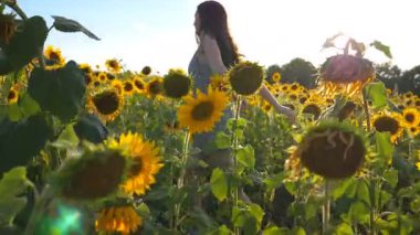 Güneşli bir günde, çiçek açan ayçiçeklerinin arasında koşan, ellerini kaldırmış tasasız bir kadın. Özgürlüğün ya da doğanın tadını çıkaran bir kız. Arka planda manzaralı yaz manzarası. Açık hava eğlence konsepti.
