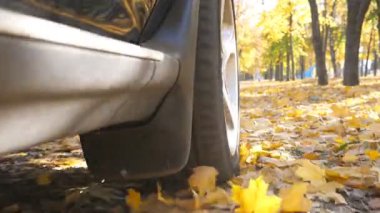 Güçlü araba park yolda sarı sonbahar üzerinde sürüş tekerlek güneşli bir günde bırakır. Renkli sonbahar yaprakları dışarı otomobil tekerleğin altından uçar. Boş yol aracılığıyla SUV geçiş. Yavaş mo yakın çekim.