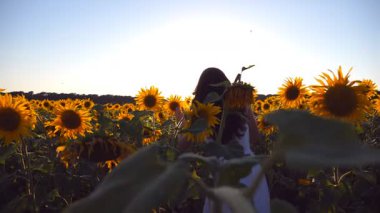 Gün batımında mavi gökyüzünün altında ayçiçeğiyle oynayan genç bir kadın. Çiçeklerin arkasına saklanan komik kız. Ön görünüm Yavaş çekim Kapat