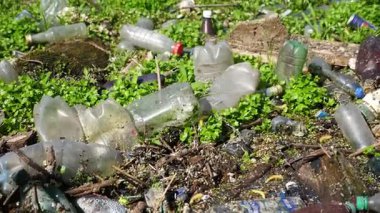 Ormandaki yeşil çimlerin üzerinde bir sürü plastik şişe var. Çöp doğadaki açık ve serbestçe ulaşılabilir yerlere atılır. Küresel çevre kirliliği sorunu. Ekolojik felaket kavramı. Yavaş çekim.