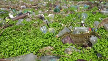 Ormandaki yeşil çimlerin üzerinde bir sürü plastik şişe var. Çöp doğadaki açık ve serbestçe ulaşılabilir yerlere atılır. Küresel çevre kirliliği sorunu. Ekolojik felaket kavramı. Yavaş çekim.
