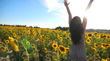 Elleri havada, çiçek açan ayçiçekleriyle sahada neşeli duygular gösteren genç ve ilham verici bir kız. Özgürlüğün tadını çıkaran mutlu bir kadın ya da güneşli bir yaz günü. Açık hava eğlence konsepti. Dolly vurdu..