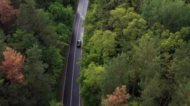 Hava perspektifi, kıvrımlı, yeşil ağaçlarla çevrili, dolambaçlı bir yolda gezinen bir arabayı yakalar, doğal güzellikler ve hareketin ahengi içindeki huzurlu yolculuğu resmeder.