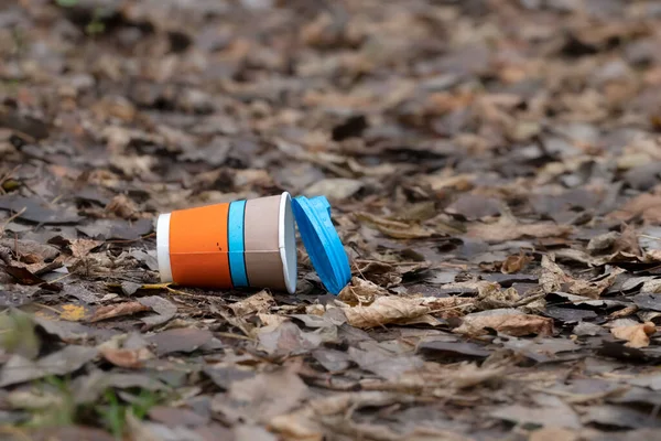 Trash in the forest.Used disposable paper coffee cup in the forest. Take away food industries impact on the environments.