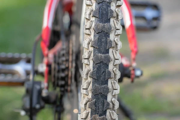 stock image An old bicycle tire. A black bicycle tire with white stripes on the rear wheel.