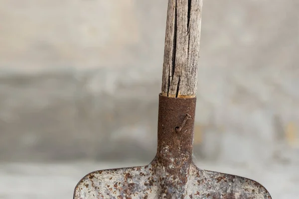 stock image An old rusty shovel close-up.A metal and wooden old shovel stands near the wall.The theme of agricultural tools.