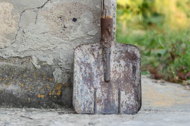 Paslı, kirli bir kürek. Bahçe aletleri ve ekipmanları. Bahçe işleri kavramı yaz ya da ilkbaharda.